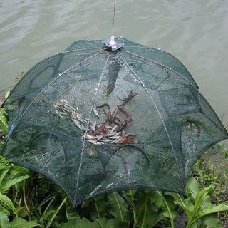 lưới bát quái đánh cá dạng tròn