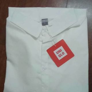 Áo sơ mi ngắn tay dài tay nữ