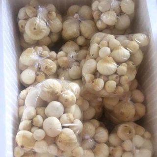 mộng dừa đặc sản tuổi thơ
