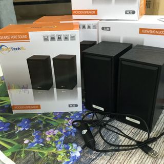 loa vi tính 20