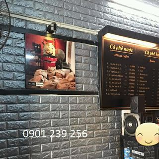 XỐP DÁN TƯỜNG 3D