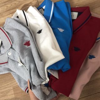 Áo Thun Có Cổ Con Ong