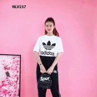 set bộ 02