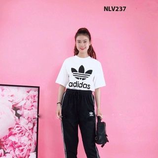 set bộ 02