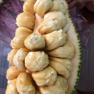 mít tố nữ
