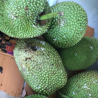 mít tố nữ