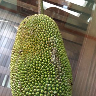 mít tố nữ