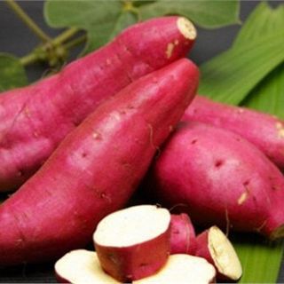 Khoai deo Quảng Bình