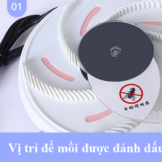 Máy Bắt Ruồi