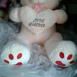 cung cấp sỉ và lẽ gấu bông