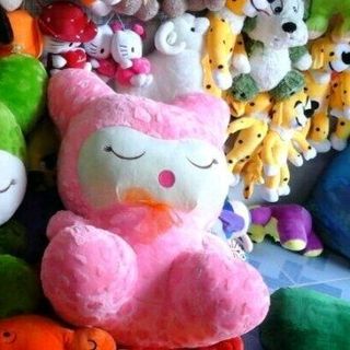 cung cấp sỉ và lẽ gấu bông