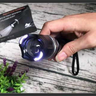 Đen pin chống trộm chó