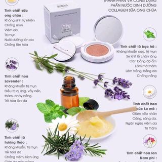 phấn nước dinh dưỡng