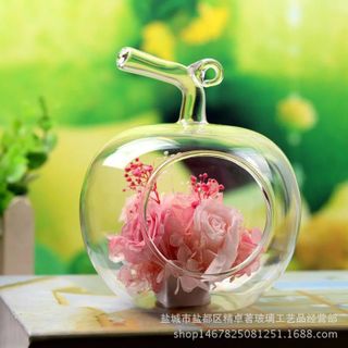 Chậu kiểng hình táo 10 cm