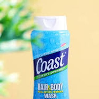 Sữa tắm gội cho Nam Coast của Mỹ