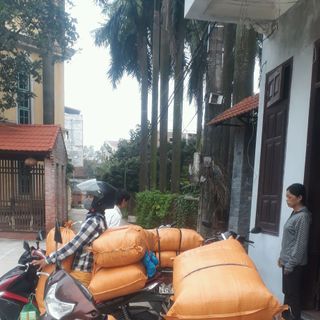 Gia công mầm đậu nành chỉ từ 70k1kg