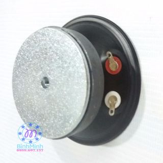 loa trép rời BS lớn - loa treble