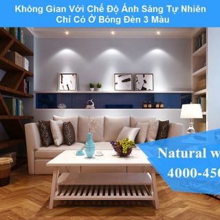 Đèn LED âm trần 6W 3 màu LS LighingtVietnam