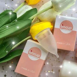 cốc nguyệt san lincup