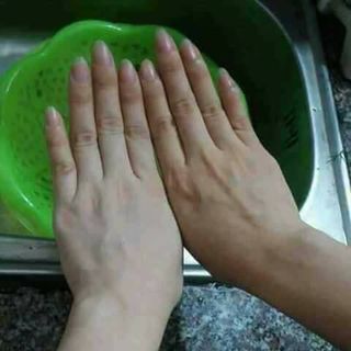 sữa tắm nha đam cánh hoa hồng