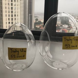 Chậu kiểng thủy tinh hình trứng 15cm