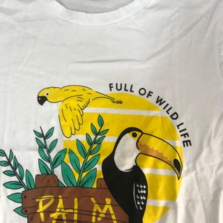 Áo Thun Chuyên sỉ cho Bán online mẫu new 2018 PALM