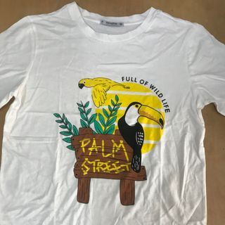 Áo Thun Chuyên sỉ cho Bán online mẫu new 2018 PALM