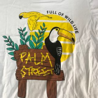 Áo Thun Chuyên sỉ cho Bán online mẫu new 2018 PALM
