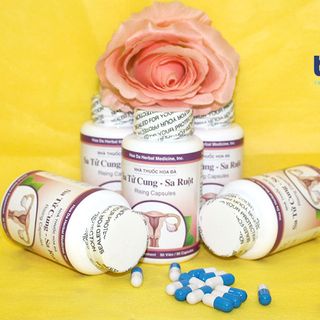 Thảo dược Sa Ruột - Sa Tử Cung