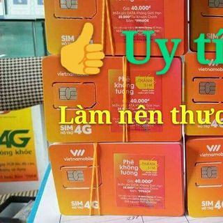 Thánh sim vietnammobile 4G