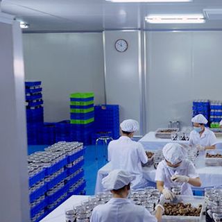 Tỏi Đen cô đơ 1 nhánh việt á hộp 100g