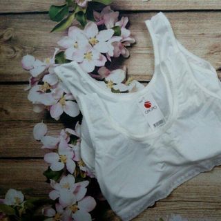 Áo lá học sinh 668