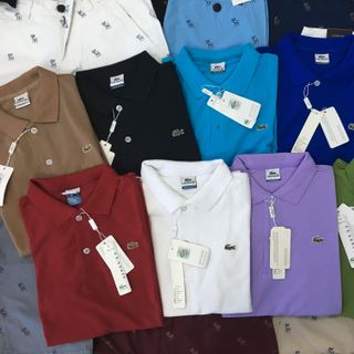 Áo thun cổ Cá Sấu Thailand Đủ Size
