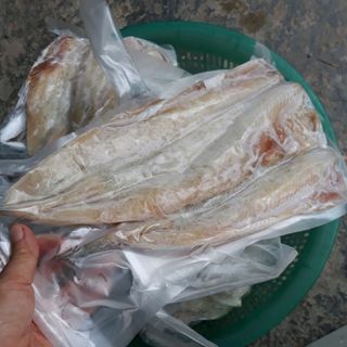 CÁ MỐI 1 NẮNG SIZE 2 đến 4 con/Kg