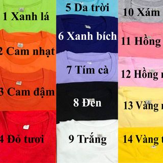 Áo thun trơn in chuyển nhiệt 19K