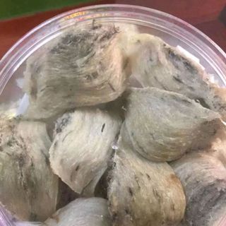 Yến thô nguyên tổ thượng hạng Nha Trang 100gr