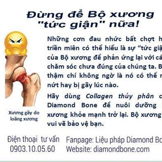Viên bổ xương - Diamond bone Cao xương cá sấu