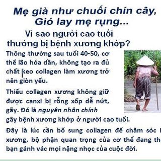 Viên bổ xương - Diamond bone Cao xương cá sấu
