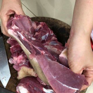 Heo rừng lai