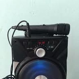 Loa P88