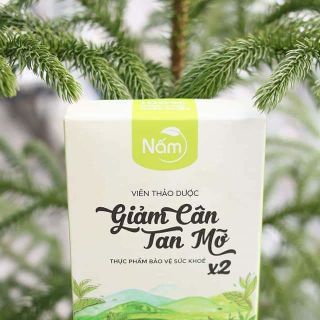 nấm giảm cân x2 giá sỉ​ giá bán buôn