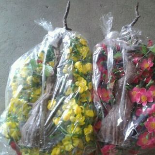 cây mai để bàn thờ 70 cm