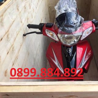 Thanh Lý Kho Xe Máy Của Chi Cục Hải Quan Giá Rẻ Xe Mới 100