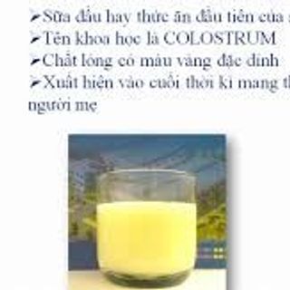 Sữa non Alpha Lipid Lifeline 450g – New Zealand
