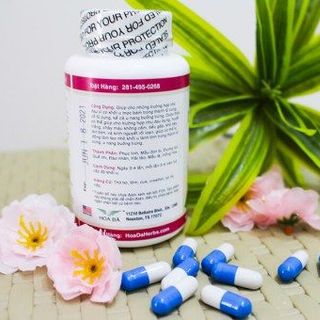 Thảo dược Lợi Tử Cung Hoàn