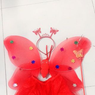 cánh bướm có đèn có váy
