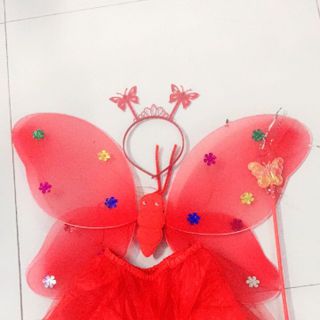 cánh bướm có đèn có váy