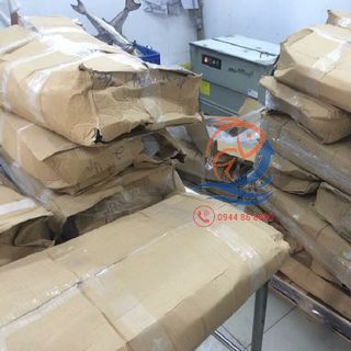 Cá bớp nguyên con