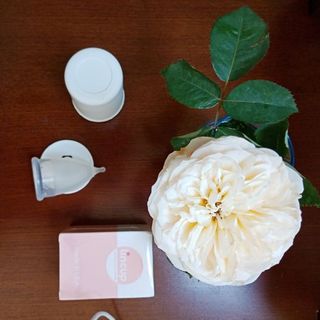 Cốc nguyệt san Lincup by Lintimate