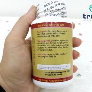 Thảo dược Trường Xuân Tứ Đại Thần Hoàn